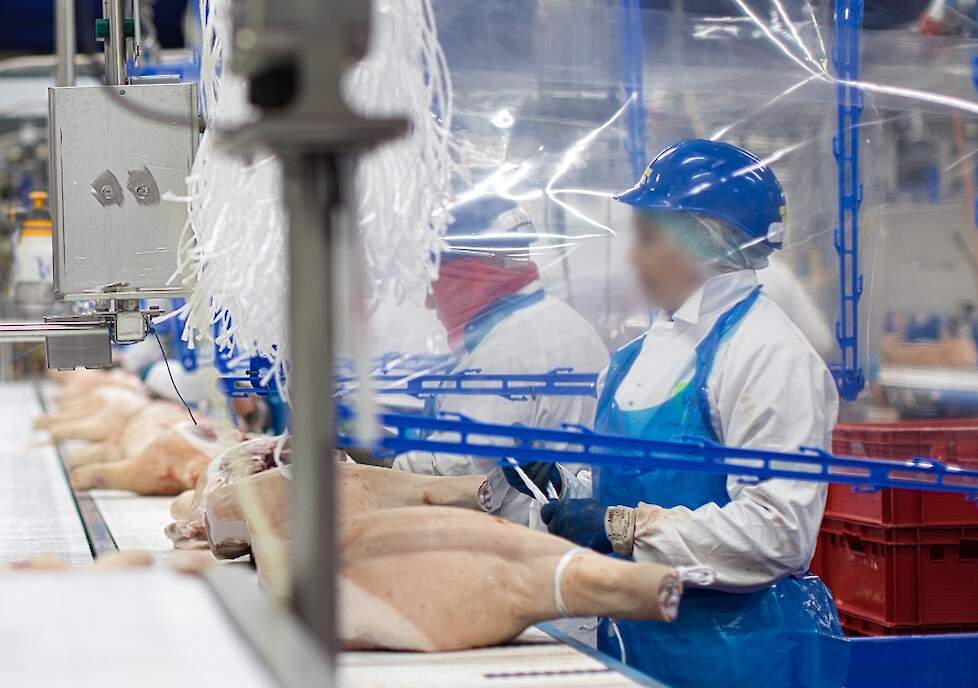 Tijdens de coronacrisis namen Nederlandse varkensslachterijen zoals Vion maatregelen om overdracht van het virus tussen slachterijpersoneel tegen te gaan.