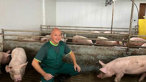 Een digitaal varken?!