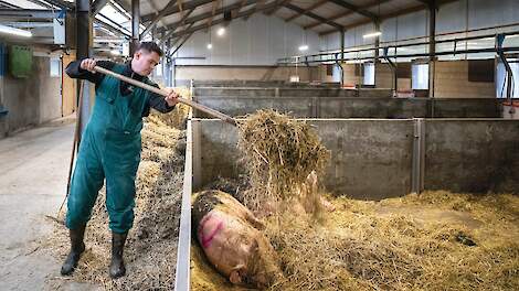 Ruben Exterkate heeft een passie voor data en varkens: 'Elke big een chip'