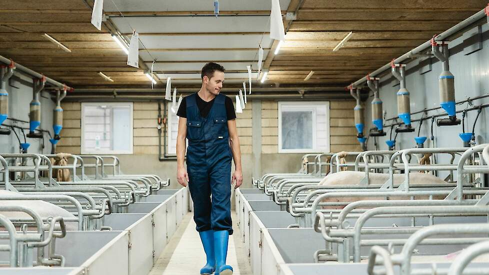 ondernemer in varkenshouderij