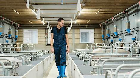 De volgende generatie in de varkenshouderij