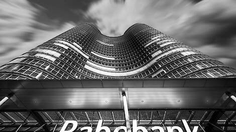 Rabobank: ‘Trendbreuk in intensieve sectoren, aantal dieren neemt af ondanks historisch goede resultaten’