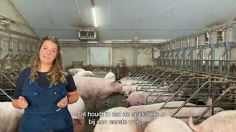 3 streefwaarden voor de ideale opfokgelt