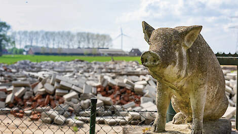 Hoe beleid het varkensdorp Wehl voorgoed veranderde 