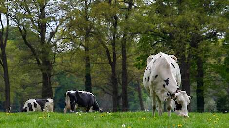 RIVM: Zonering van 250 meter raakt 1.853 boerenbedrijven