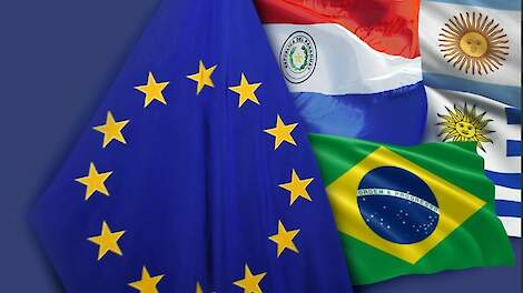 Effect EU-Mercosur-akkoord op Nederlandse melkveehouderij beperkt