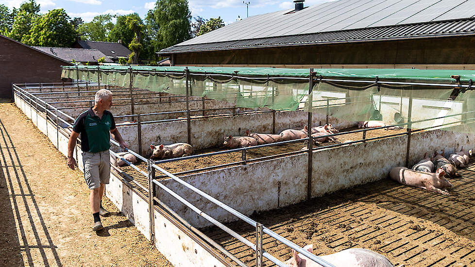 De Vennekuus is een gesloten varkensbedrijf. Alle biggen worden zelf opgelegd in de vleesvarkenstal. De vleesvarkens worden gevoerd volgens een drie-fasen-systeem.  Het voeren met biologisch voer kent wel nodige uitdagingen, omdat er veel eisen aan het vo