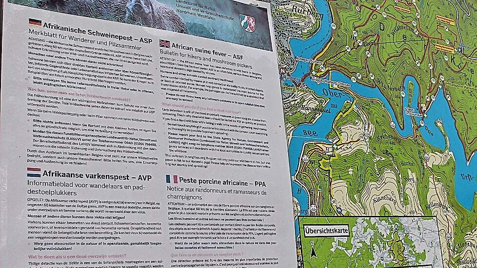 In de deelstaat Noord-Rijn-Westfalen wordt in vier talen, waaronder Nederlands, gewaarschuwd voor wilde zwijnen en de mogelijke AVP-gevaren.