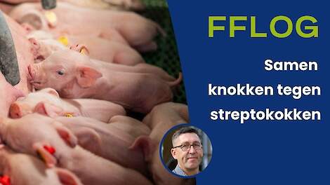 Samen knokken tegen streptokokken: zo doen we dat!