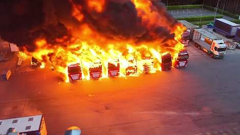 BBB wil EU-aanpak grensoverschrijdend dierenrechtenextremisme