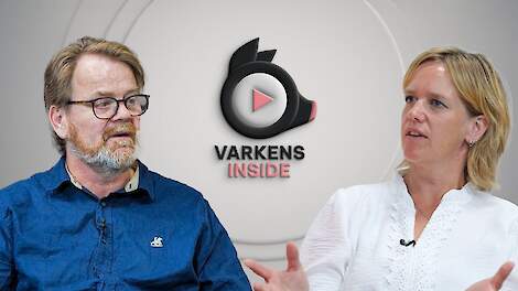 Video: Varkens Inside – 'Verkiezingsstrijd zal de nodige onrust veroorzaken'