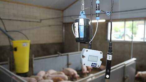 Kostprijs stijgt tussen 32 en 38 cent/kg bij invulling eisen dierwaardige veehouderij in 2040