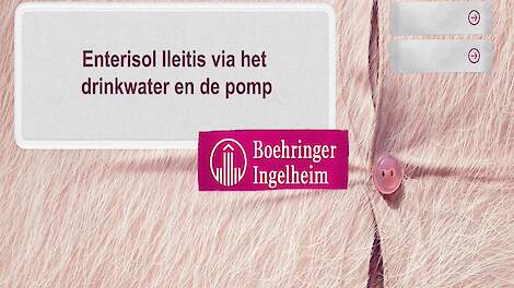 Preventie tegen PIA: eenvoudig, effectief en zonder bijwerkingen