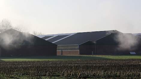 Brabant wil vergunningverlening lostrekken met realtime emissiemetingen bij 33 veehouders