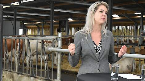 Regering komt met wetsvoorstel: KDW eruit en emissiedoelen erin