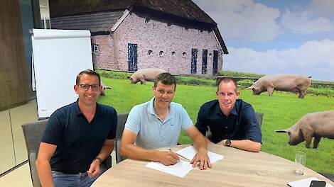 Agrifirm en Verde Varken bundelen krachten voor duurzame Nederlandse varkensketen