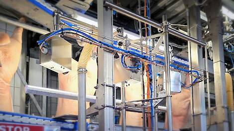 Vion zet slim camerasysteem in om varkensstaarten te meten