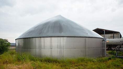 DLV Advies: ‘Veehouderijsector moet nog flinke stappen zetten voor groen gas productie’