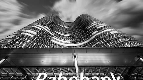 Rabobank Update: ‘Verwacht dalende karkasprijzen in derde kwartaal 2025’