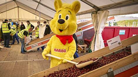 AVP: Duitse snoepjesfabrikant annuleert inzameling kastanjes en eikels