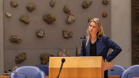 Media spannen kort geding aan tegen minister Wiersma om Woo-gegevens