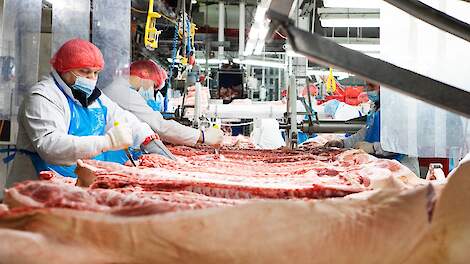 Duitsland slacht in 2025 meer eigen varkens, aanzienlijk minder import