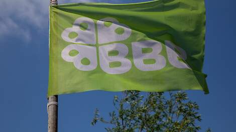 BBB-verkiezingsprogramma: Herkenbaar en boergericht, maar met wat meer haalbaarheid