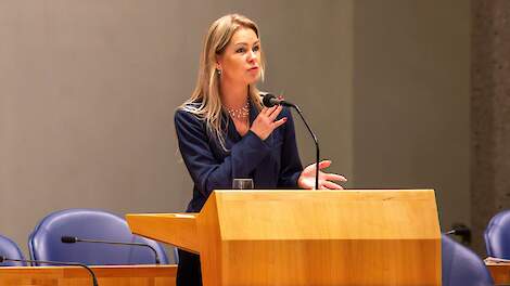 Wiersma: 'Aanmerkelijk effect LBV-regeling op sectorplafonds varkens en pluimvee'