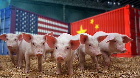 Amerikaanse varkensvleesindustrie blij met voorrang op markttoegang EU
