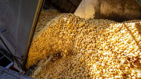 Afzet vochtrijke diervoeders komt uit op 5,2 miljoen ton, 0,7 procent minder dan in 2023