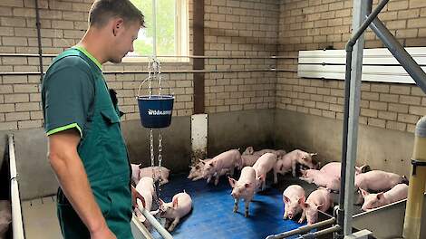 Video: 'Fluitend door de stal'