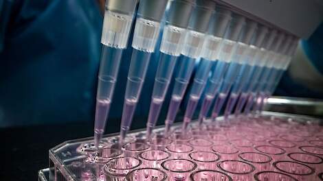 Veelbelovend AVP-vaccin beschermt niet tegen alle virusstammen