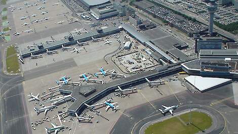 Schorsingsverzoek Schiphol over natuurvergunning crasht bij rechter