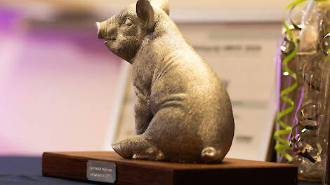 Finalisten van Het Beste Idee van Varkensland 2025 bekend