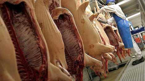 Duitse export varkensvlees neemt toe in EU
