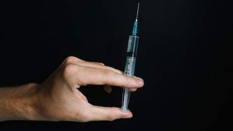 EU-enquête: ‘59 procent EU-burger weet niet dat groeibevorderaars verboden zijn’