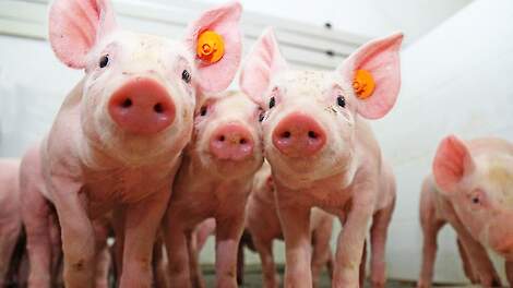 ‘In het verbeteren van luchtkwaliteit en longgezondheid zijn nog vele stappen te maken’