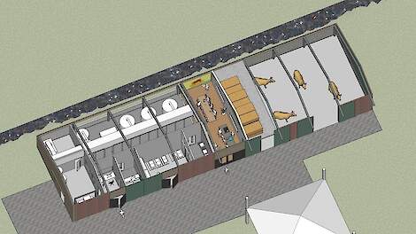 Eerste kweekvleesboerderij van Nederland in de maak: ‘Het zou onzinnig zijn zonder boeren’