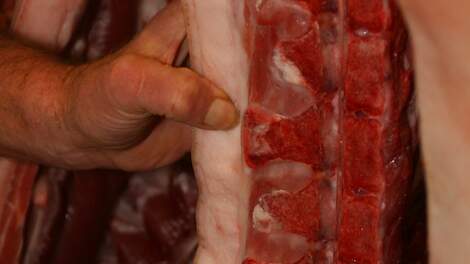 Rusland verwacht dit jaar toename export varkensvlees tot 30 procent