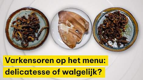 Video: Varkensoortjes, eten op eigen risico