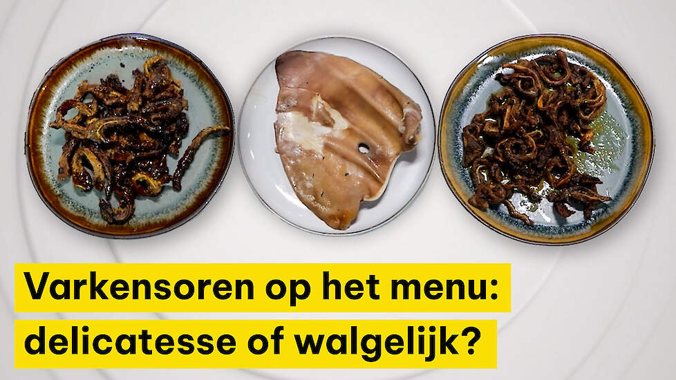 Varkensoren op het menu: delicatesse of walgelijk? - Varkens Inside