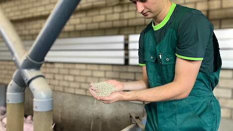 Video: 'De eerste week telt'