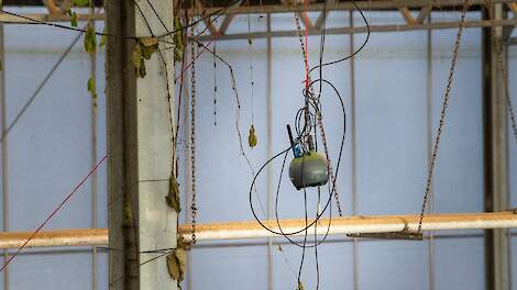 Kabinet stelt meldplicht in voor bouw emissiearme stalsystemen