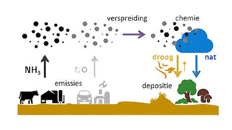 Wiersma wil AERIUS vervangen bij overstap naar nieuw emissiebeleid