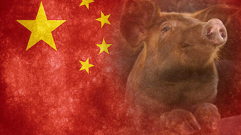 China dringt topvarkensproducenten hun productie te verminderen