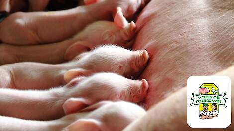 Gezond hARd groeien begint met de juiste tools