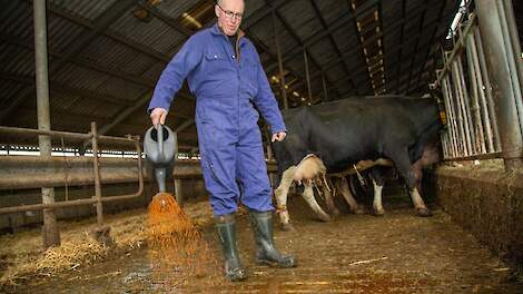 Stallendeadline blijft voer voor discussie in Brabant: ‘Laat dit dwangmatige beleid varen’