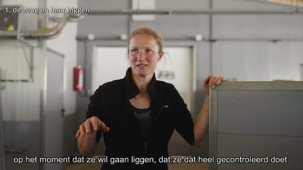 Vergroten biggenoverleving in een vrijloopkraamhok