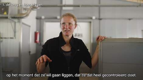 Vergroten biggenoverleving in een vrijloopkraamhok