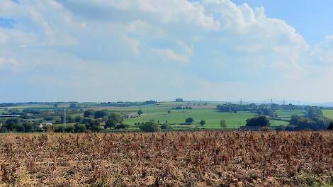 Volt: 'Verplaats grote Nederlandse intensieve veebedrijven naar andere EU-landen'